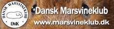 halfbanner