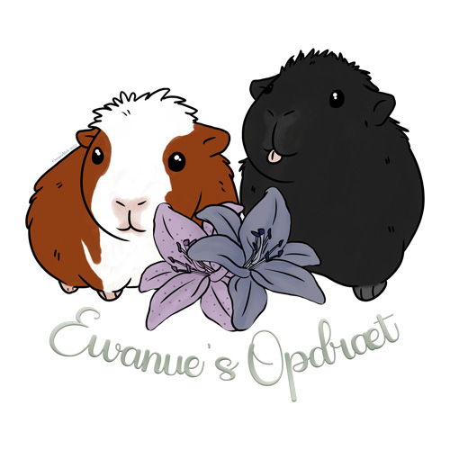 Logo1